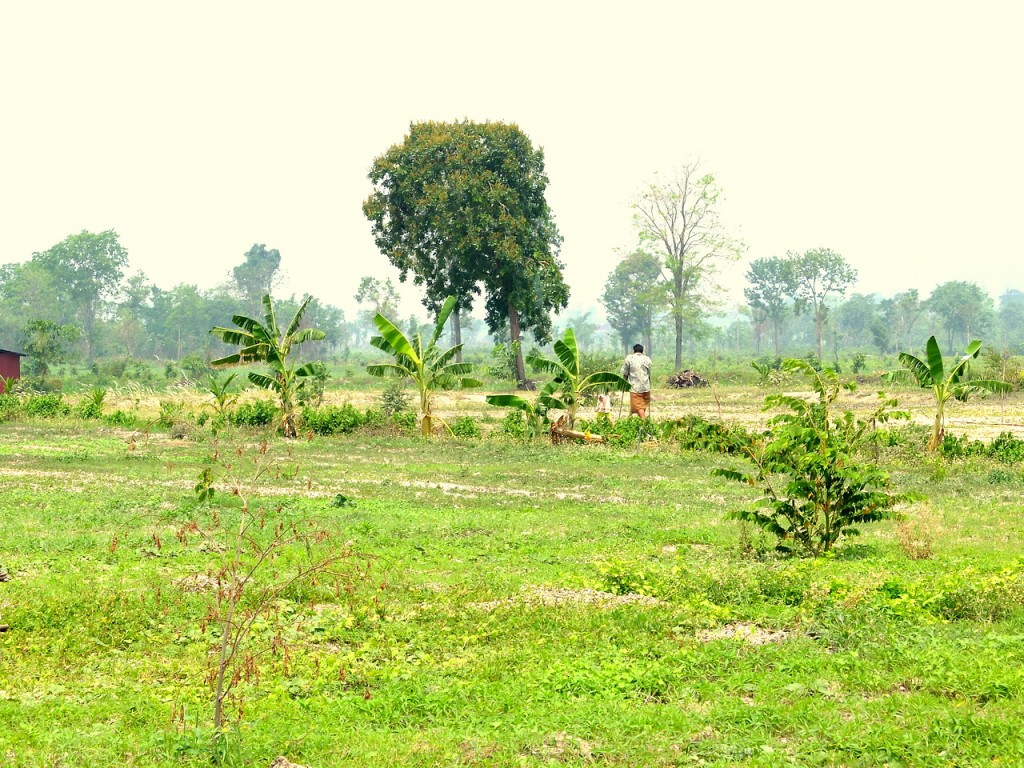 cambodia_amputee_assistance_theropy_495